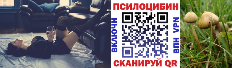 Псилоцибиновые грибы Cubensis  Оренбург 